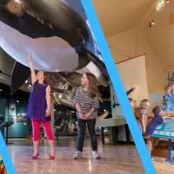 New Brunswick Museum - Saint John