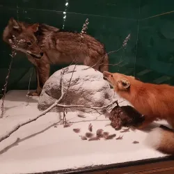 New Brunswick Museum - Saint John