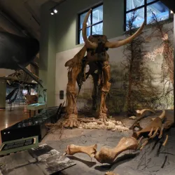 New Brunswick Museum - Saint John