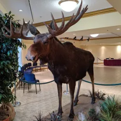 New Brunswick Museum - Saint John