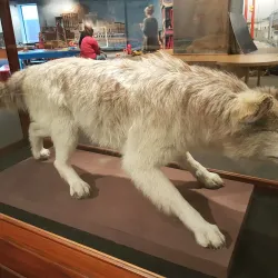 New Brunswick Museum - Saint John