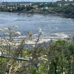 Reversing Falls Rapids - Saint John