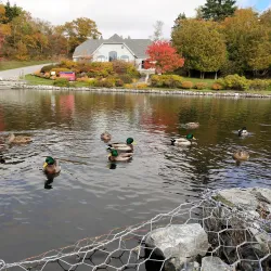 Rockwood Park - Saint John