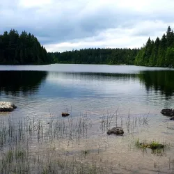 Rockwood Park - Saint John