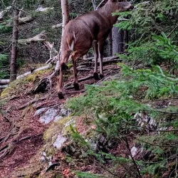 Rockwood Park - Saint John