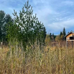 Centre d'interprétation de la nature du Lac Boivin - Saint-Jérôme