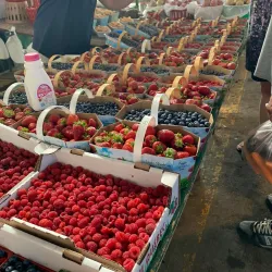 Marché Public de Saint-Jérôme - Saint-Jérôme