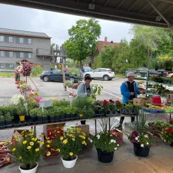 Marché Public de Saint-Jérôme - Saint-Jérôme
