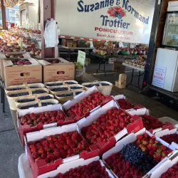 Marché Public de Saint-Jérôme - Saint-Jérôme