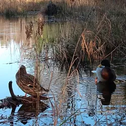 Parc des Falaises - Saint-Jérôme