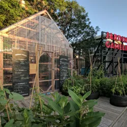 Parc Émilie-Gamelin - Saint-Jérôme