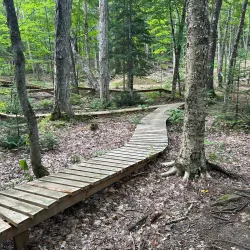 Mont Avalanche Ski Resort - Sainte-Agathe-des-Monts (Ste-Agathe des Monts)