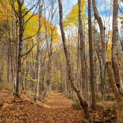 Sentier des Caps de Charlevoix - Sainte-Agathe-des-Monts (Ste-Agathe des Monts)