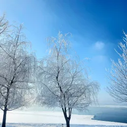 Île Saint-Bernard - Salaberry-de-Valleyfield
