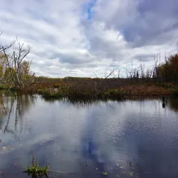 Île Saint-Bernard - Salaberry-de-Valleyfield