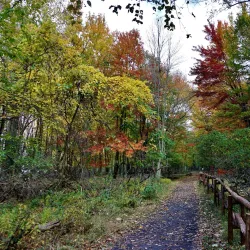 Île Saint-Bernard - Salaberry-de-Valleyfield