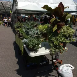 Marché Public de Valleyfield - Salaberry-de-Valleyfield