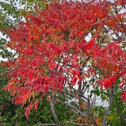 Parc Régional de Beauharnois-Salaberry - Salaberry-de-Valleyfield