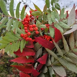 Parc Régional de Beauharnois-Salaberry - Salaberry-de-Valleyfield