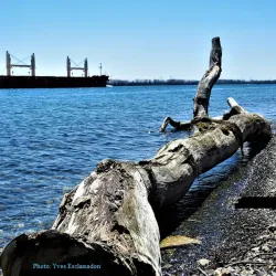 Parc Régional de Beauharnois-Salaberry - Salaberry-de-Valleyfield