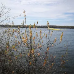 Parc Régional de Beauharnois-Salaberry - Salaberry-de-Valleyfield