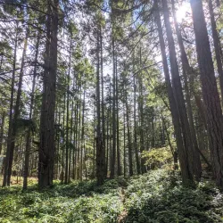 Mount Maxwell Provincial Park - Salt Spring Island