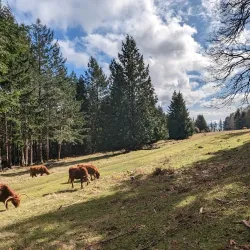 Ruckle Heritage Farm - Salt Spring Island