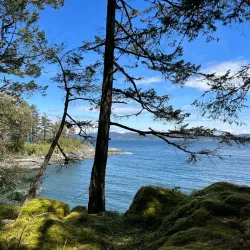 Ruckle Provincial Park - Salt Spring Island