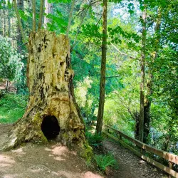 Ruckle Provincial Park - Salt Spring Island