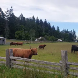 Ruckle Provincial Park - Salt Spring Island
