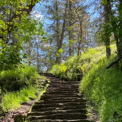 Ruckle Provincial Park - Salt Spring Island