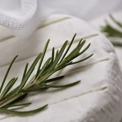 Salt Spring Island Cheese Company - Salt Spring Island