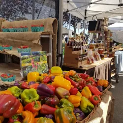 Salt Spring Island Saturday Market - Salt Spring Island