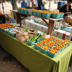 Salt Spring Island Saturday Market - Salt Spring Island