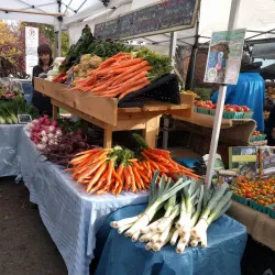 Salt Spring Island Saturday Market - Salt Spring Island
