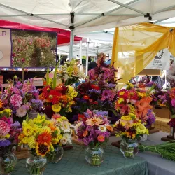 Salt Spring Island Saturday Market - Salt Spring Island