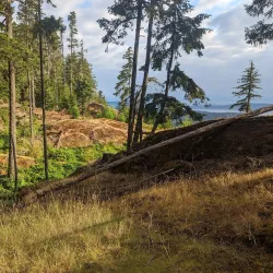 Salt Spring Island Trail and Nature Walks - Salt Spring Island