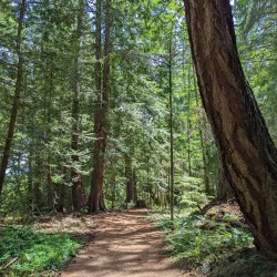 Salt Spring Island Trail and Nature Walks - Salt Spring Island