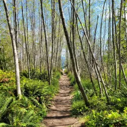 Salt Spring Island Trail and Nature Walks - Salt Spring Island