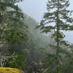 Salt Spring Island Trail and Nature Walks - Salt Spring Island