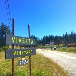 Salt Spring Island Vineyards - Salt Spring Island