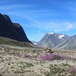 Belcher Islands - Sanikiluaq