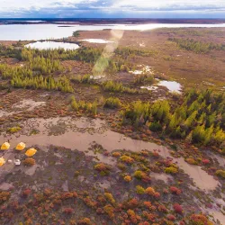 Hudson Bay Wildlife Viewing - Sanikiluaq
