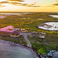 Hudson Bay Wildlife Viewing - Sanikiluaq
