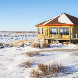 Hudson Bay Wildlife Viewing - Sanikiluaq