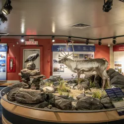 Inuit Cultural Experiences - Sanikiluaq