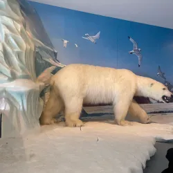 Inuit Cultural Experiences - Sanikiluaq