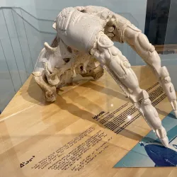 Inuit Cultural Experiences - Sanikiluaq