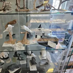 Local Craft Shops - Sanikiluaq