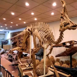 Heritage Museum of Sarnia-Lambton - Sarnia